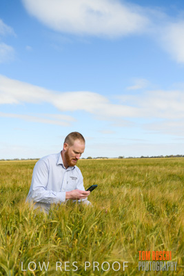 October 2019 / ROSEWORTHY_SA_191018-0884