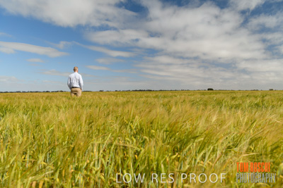 October 2019 / ROSEWORTHY_SA_191018-0922