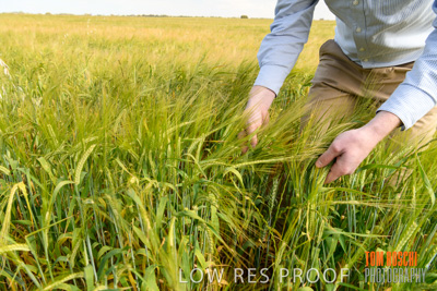 October 2019 / ROSEWORTHY_SA_191018-0974