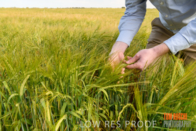 October 2019 / ROSEWORTHY_SA_191018-0976