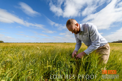 October 2019 / ROSEWORTHY_SA_191018-0985
