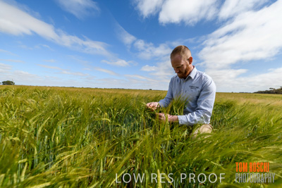 October 2019 / ROSEWORTHY_SA_191018-0990