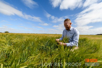 October 2019 / ROSEWORTHY_SA_191018-0991