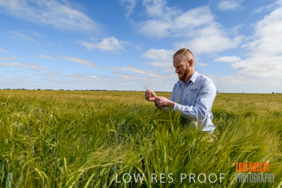 October 2019 / ROSEWORTHY_SA_191018-0998