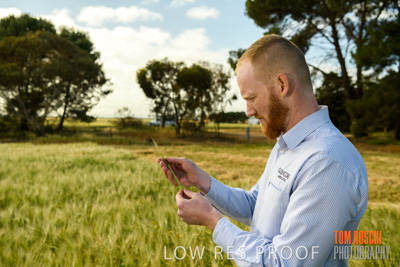 October 2019 / ROSEWORTHY_SA_191018-1017
