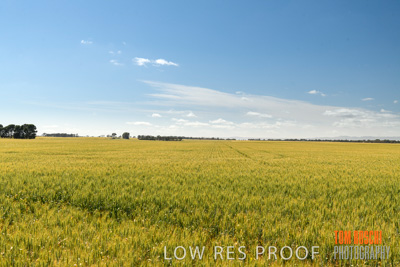 October 2019 / ROSEWORTHY_SA_191018-1087