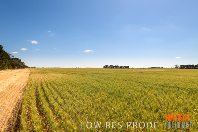 October 2019 / ROSEWORTHY_SA_191018-1100