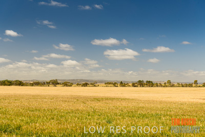 October 2019 / ROSEWORTHY_SA_191018-1108