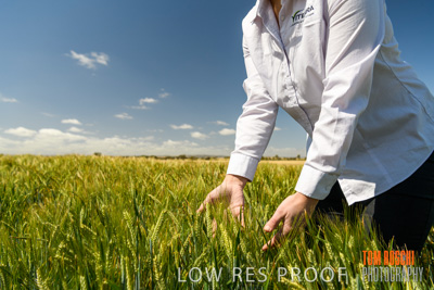 October 2019 / ROSEWORTHY_SA_191018-1117