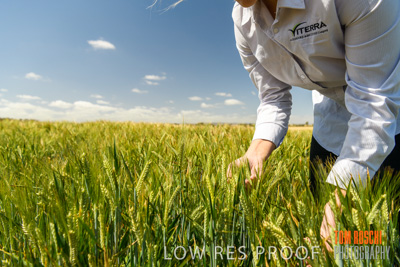 October 2019 / ROSEWORTHY_SA_191018-1121