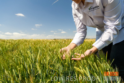 October 2019 / ROSEWORTHY_SA_191018-1123