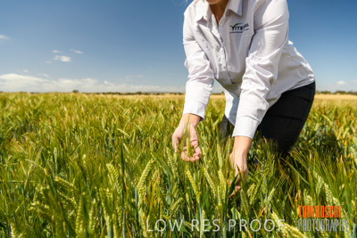 October 2019 / ROSEWORTHY_SA_191018-1131