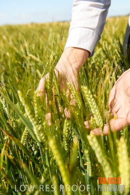 October 2019 / ROSEWORTHY_SA_191018-1134