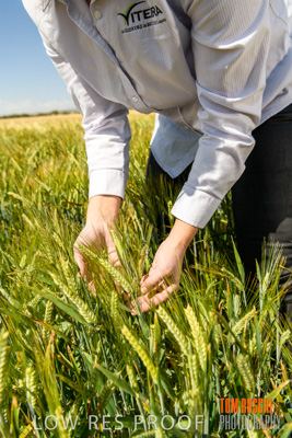 October 2019 / ROSEWORTHY_SA_191018-1140