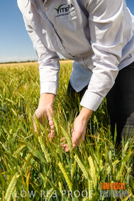 October 2019 / ROSEWORTHY_SA_191018-1141