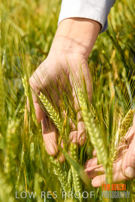 October 2019 / ROSEWORTHY_SA_191018-1143