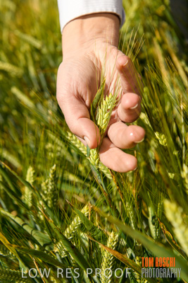 October 2019 / ROSEWORTHY_SA_191018-1146