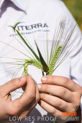 October 2019 / ROSEWORTHY_SA_191018-1152