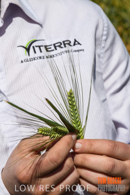 October 2019 / ROSEWORTHY_SA_191018-1154