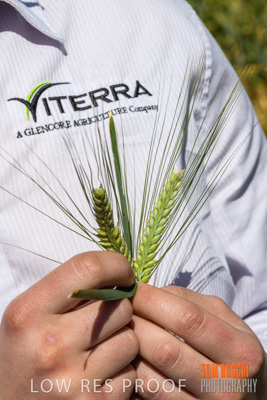 October 2019 / ROSEWORTHY_SA_191018-1157