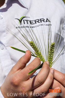 October 2019 / ROSEWORTHY_SA_191018-1158