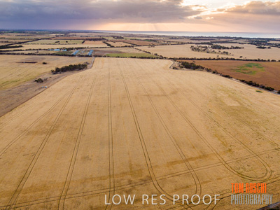 November 2019 / VITERRA_191112-0290