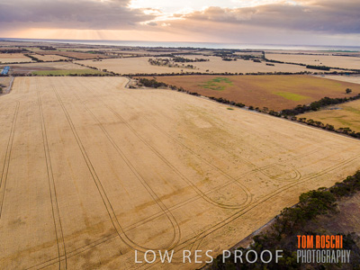 November 2019 / VITERRA_191112-0293