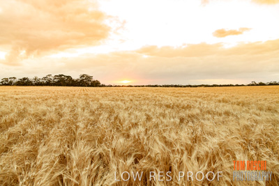 November 2019 / VITERRA_191112-7883