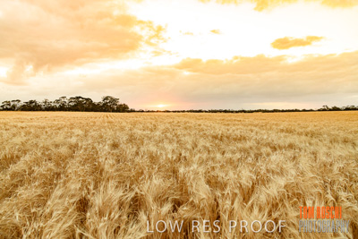 November 2019 / VITERRA_191112-7884