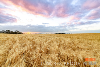 November 2019 / VITERRA_191112-7907