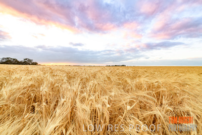 November 2019 / VITERRA_191112-7928