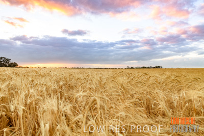 November 2019 / VITERRA_191112-7934