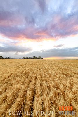 November 2019 / VITERRA_191112-7946