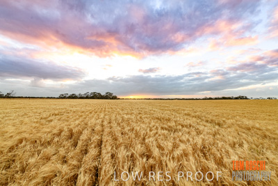 November 2019 / VITERRA_191112-7973