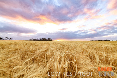 November 2019 / VITERRA_191112-8006