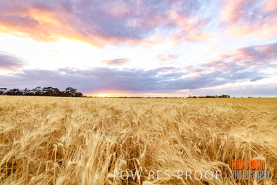 November 2019 / VITERRA_191112-8009