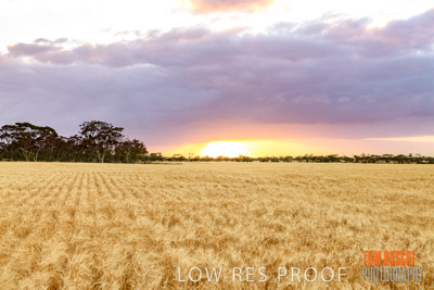 November 2019 / VITERRA_191112-8018