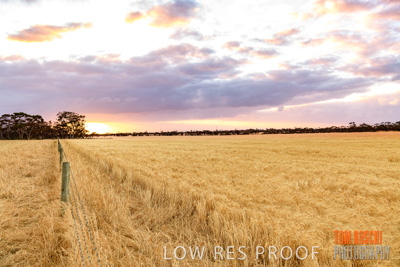 November 2019 / VITERRA_191112-8021