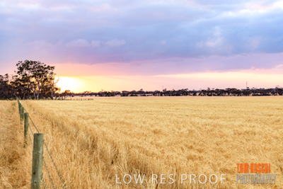 November 2019 / VITERRA_191112-8027