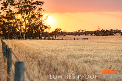 November 2019 / VITERRA_191112-8030