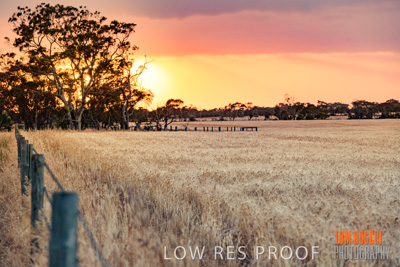 November 2019 / VITERRA_191112-8033