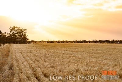 November 2019 / VITERRA_191112-8036