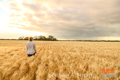 November 2019 / VITERRA_191112-8045