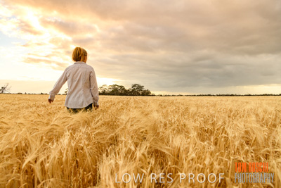 November 2019 / VITERRA_191112-8047