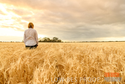 November 2019 / VITERRA_191112-8050