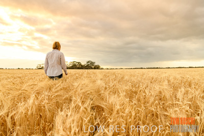 November 2019 / VITERRA_191112-8053