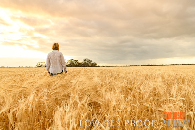 November 2019 / VITERRA_191112-8055