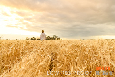 November 2019 / VITERRA_191112-8063