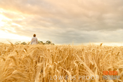 November 2019 / VITERRA_191112-8065