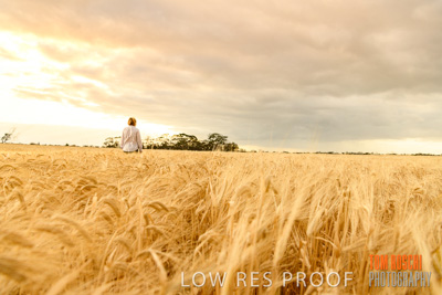 November 2019 / VITERRA_191112-8071